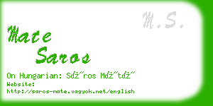 mate saros business card